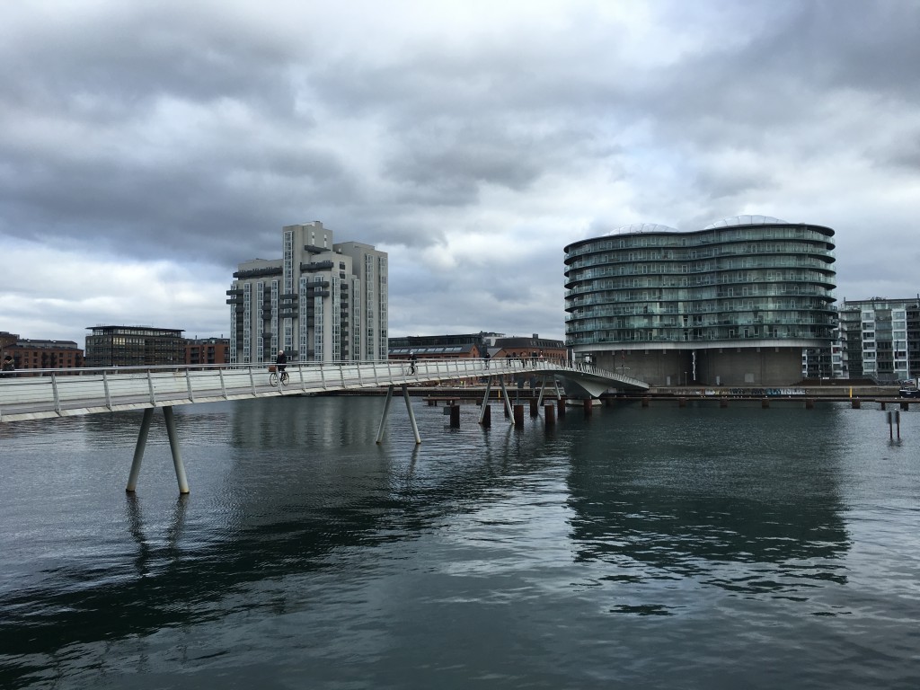 the snake (bike bridge)