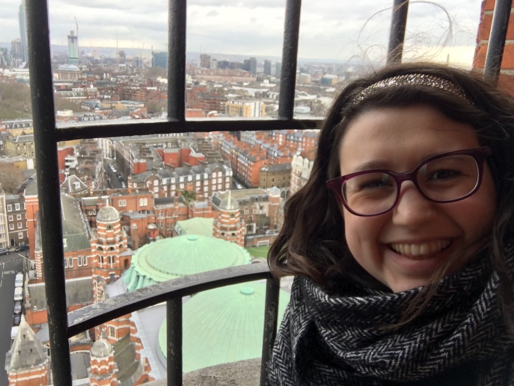 breathtaking view from a church tower