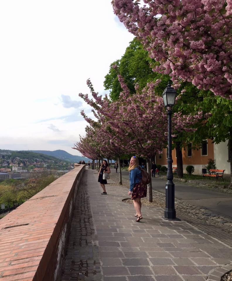 Budapest (near Buda Castle)