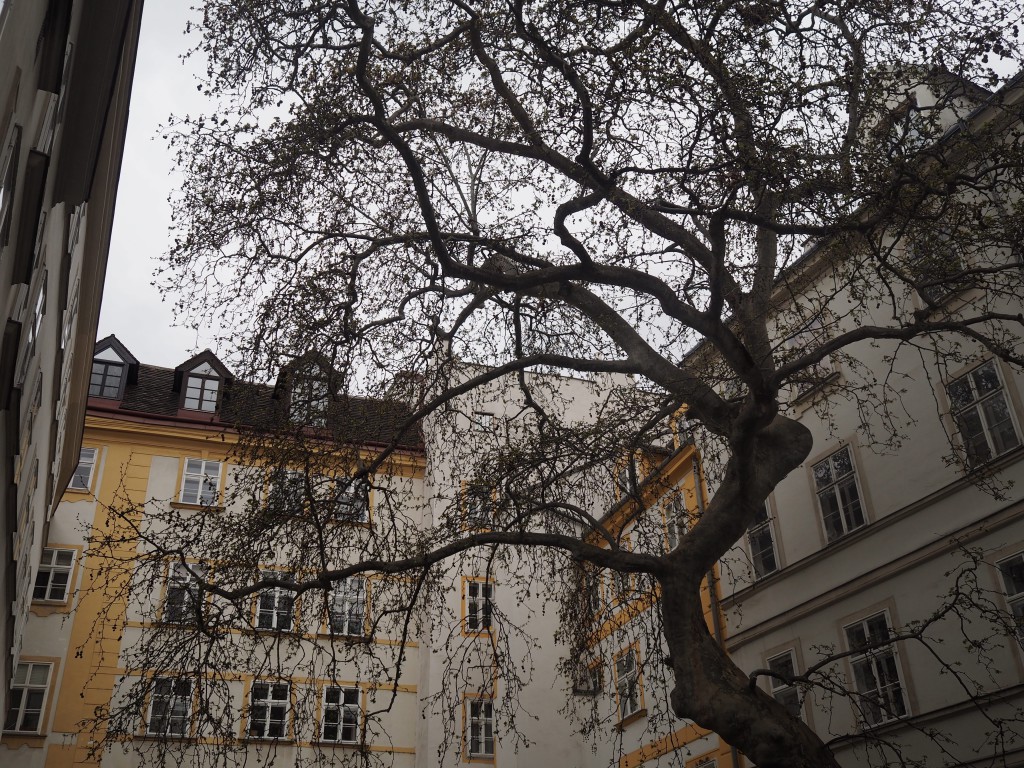 a beautiful square courtyard