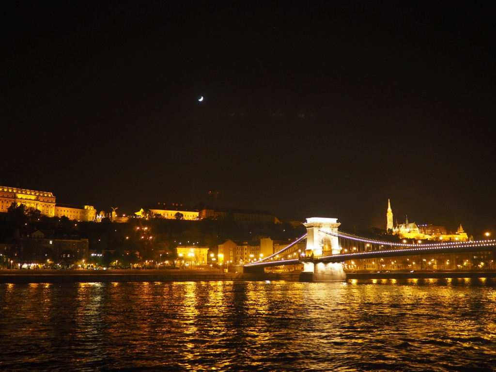 Part of the "Pest" side skyline