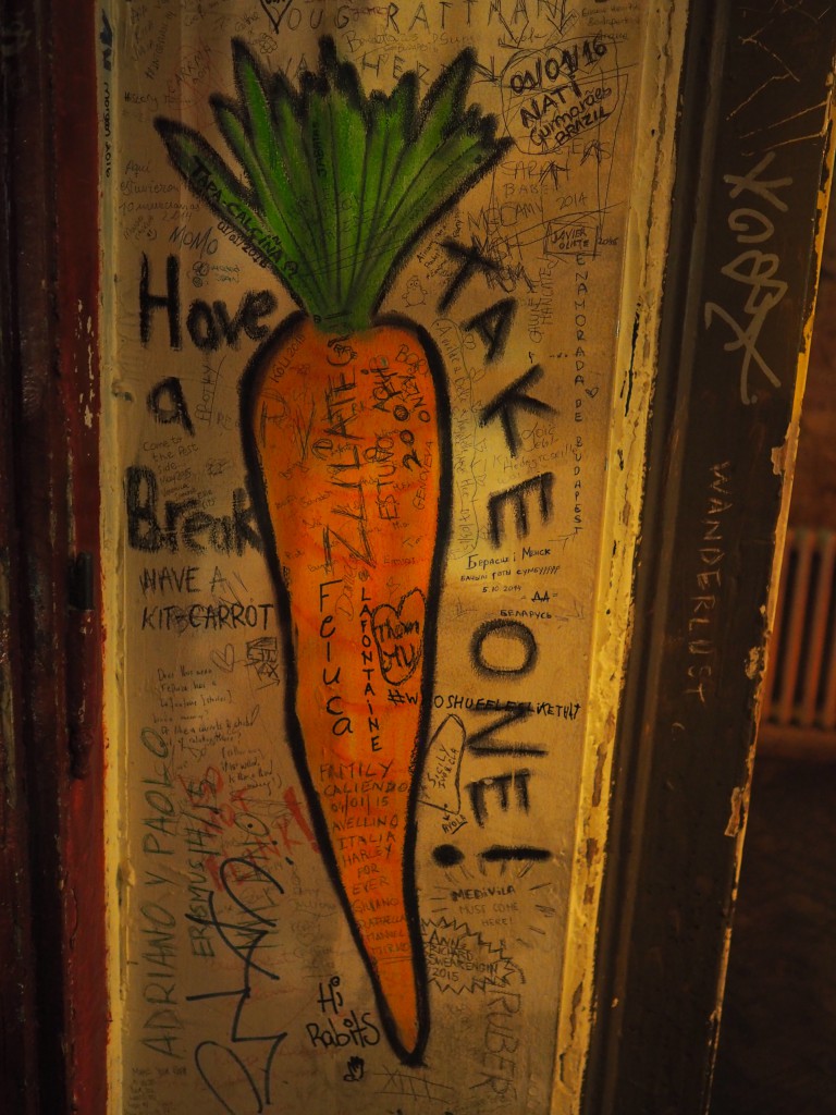 a woman actually came and offered carrots to us... [apparently they are a good food to intake water with after drinking?]