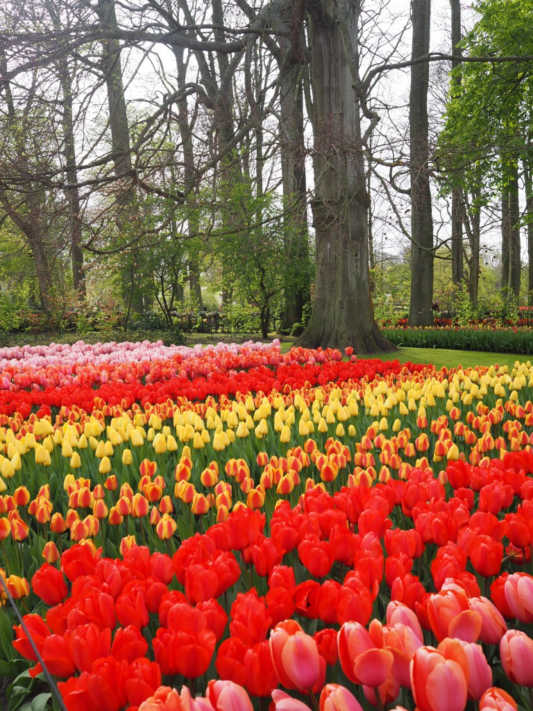 these colors just make me want to dance